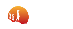 Suricata